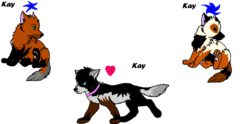Adoptables part 1