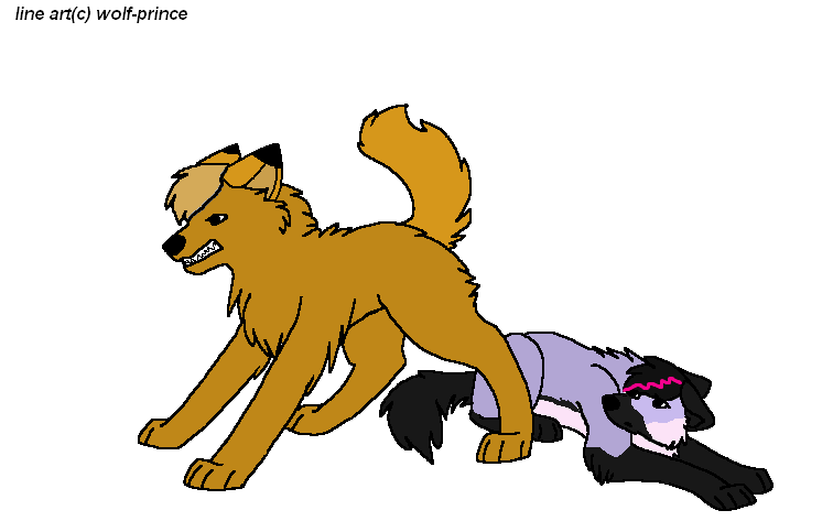 Mira and Puma - Java