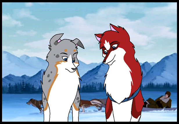 What are they looking at?