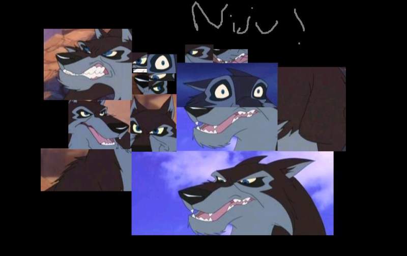 Niju Collage