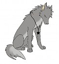 Diego, wolf form
