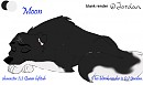 My new character. Moon