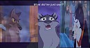 What did he just say!?