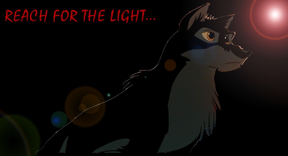 Reach for the light...