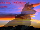 Someday...
