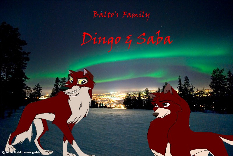 Balto´s Family