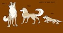 Hunter's age chart