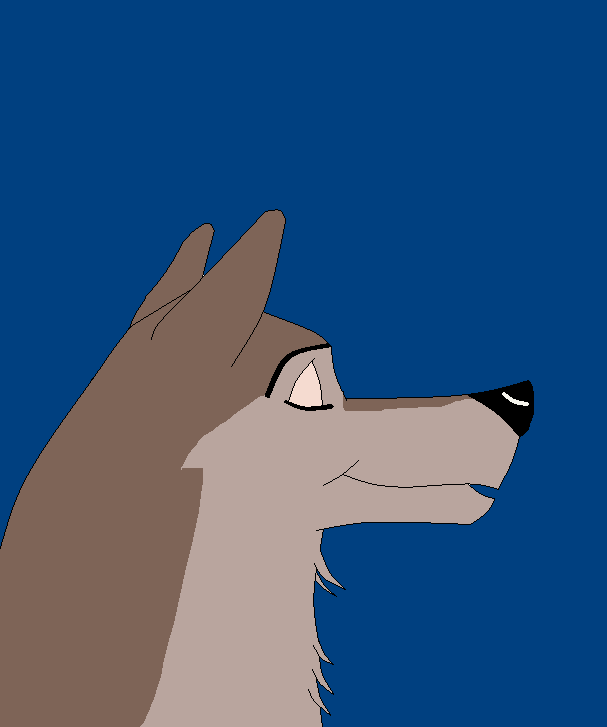 Aleu - Looking for some male wolf to love