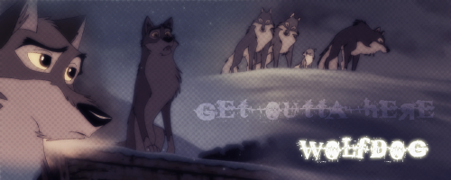You Better Get Back To Your Own Pack