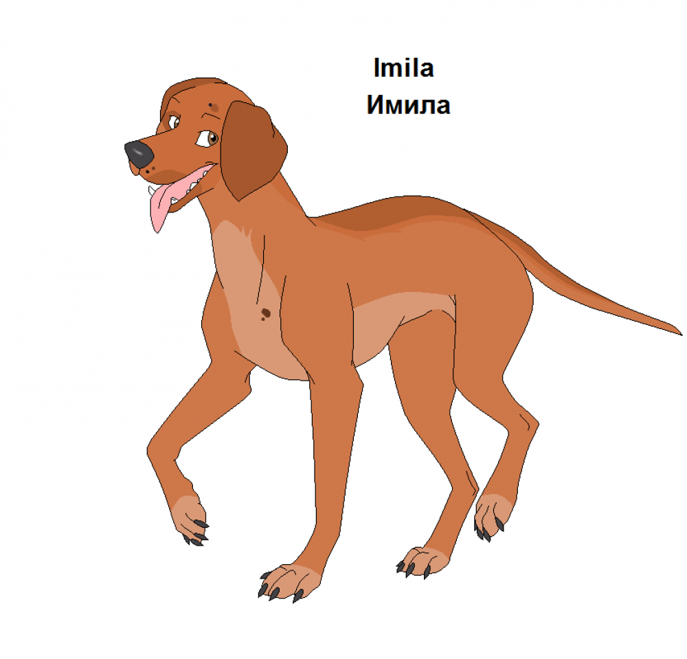 Imila