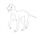 Krakozhian wolfhound blank render