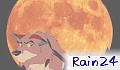rain24