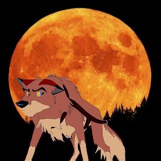 Under The Changing Moon