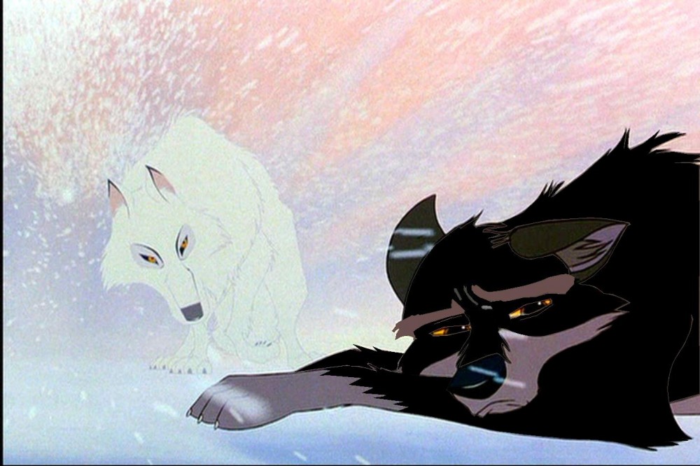Max and Aniu