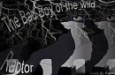 Raptor avatar