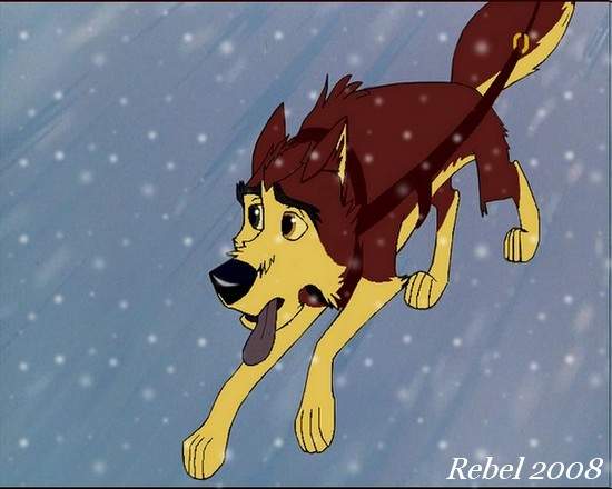 Run Dingo Run!