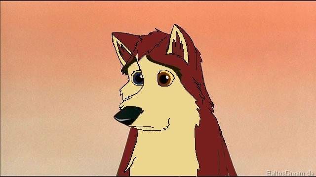 Dingo