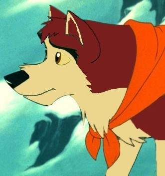 Dingo again