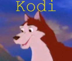 Kodi Avatar