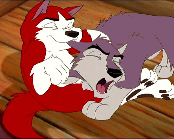 Kodi and Dusty as Puppies