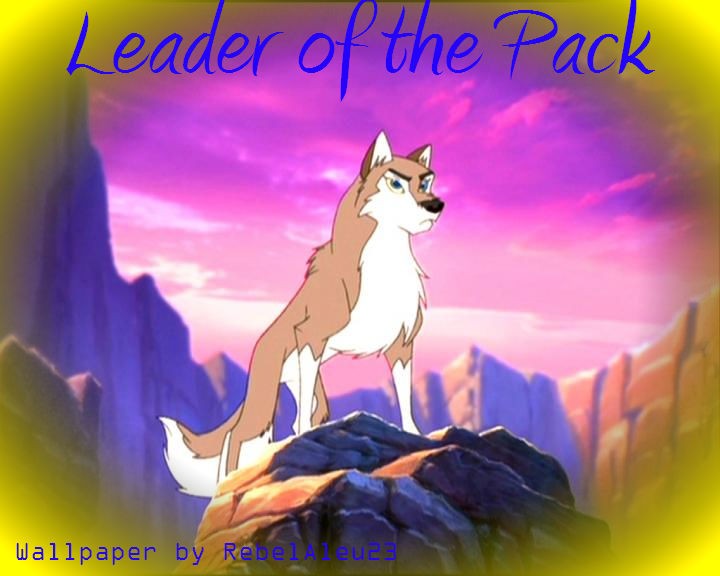 Leader of the Pack