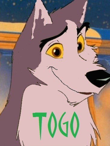 Dusty and Kodi's Puppy #1: Togo