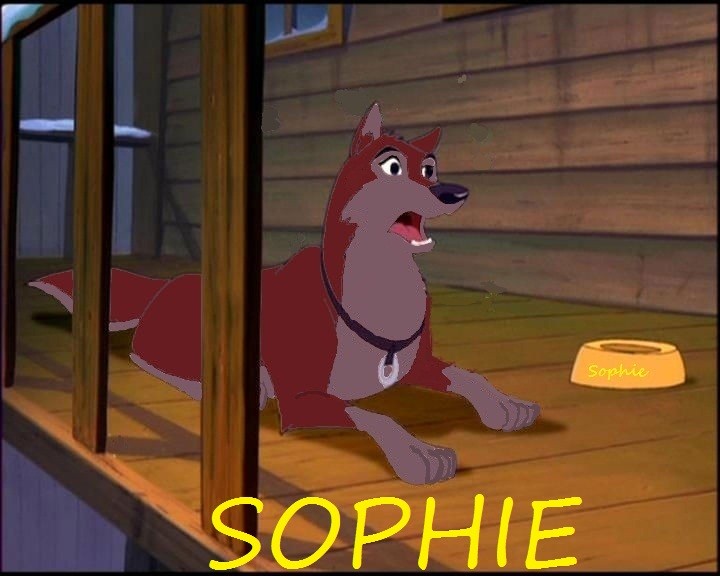 Dusty and Kodi's Puppy: Sophie