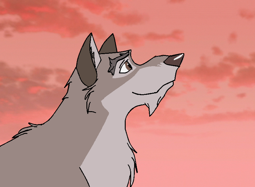 Contemplation de l'aube