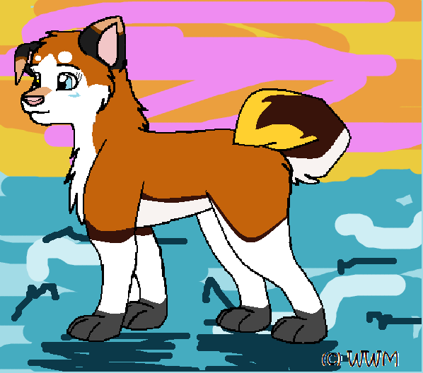 Akemi on the snowy beach