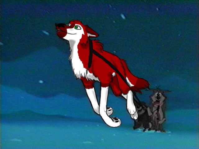 Matt Request