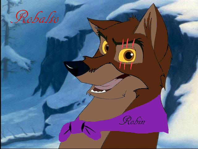 Robin