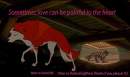 Love Can Be Painful ReUpload