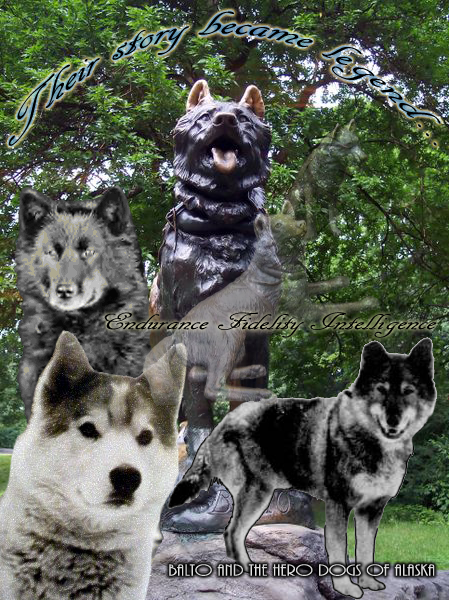 Protectors 