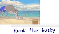 rook_the_husky