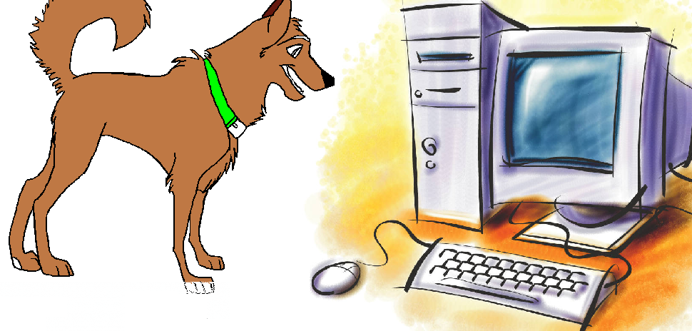 Shamp on computer