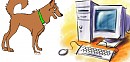 Shamp on computer