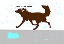 duke having a walk in the rain request for lush