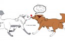 shamp and donton want pupps