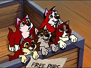 Balto and Jenna's Fourth Litter