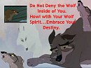 Embrace Your Destiny