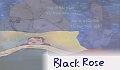 Black Rose