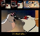 The Reunion