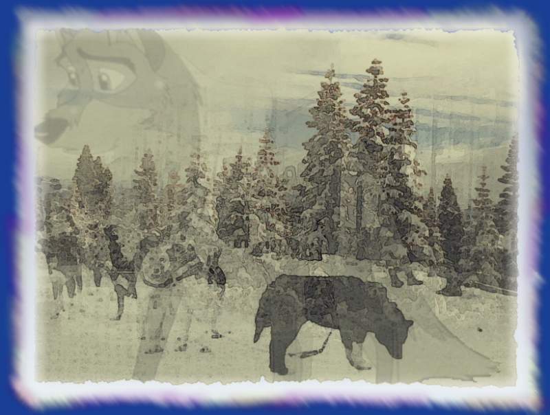 Cold Harsh Winter
