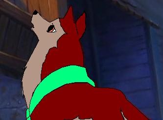 What is up there?