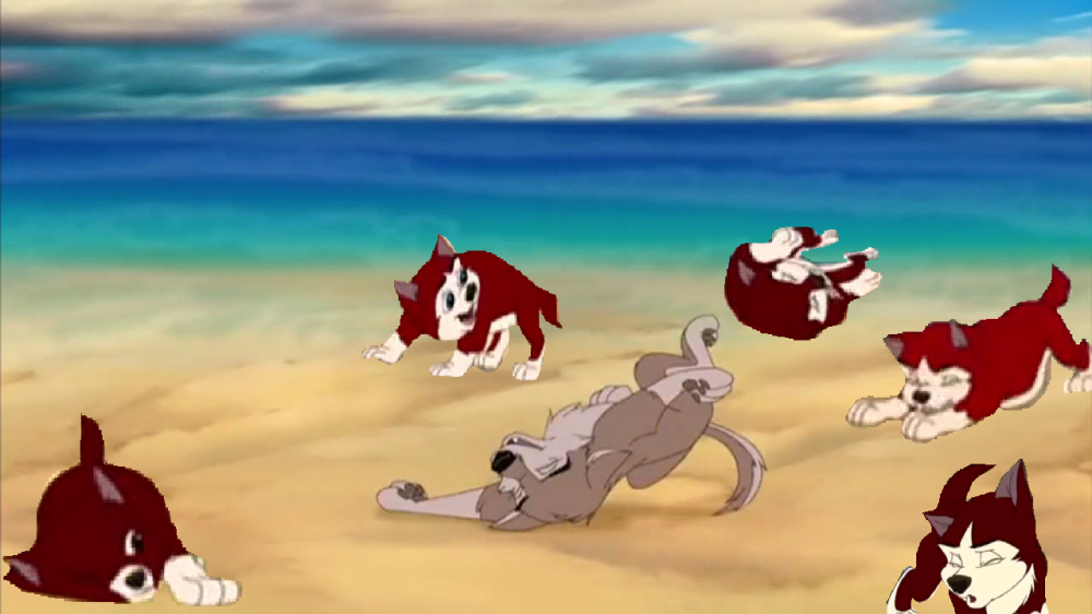 Just dance Pups