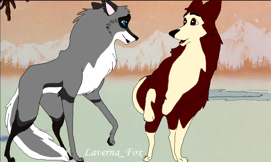 Luna x Dingo