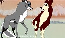 Luna x Dingo