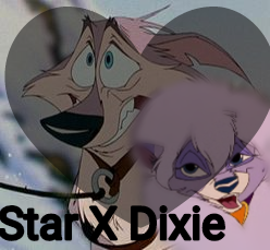 Star X Dixie 