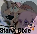 Star X Dixie 