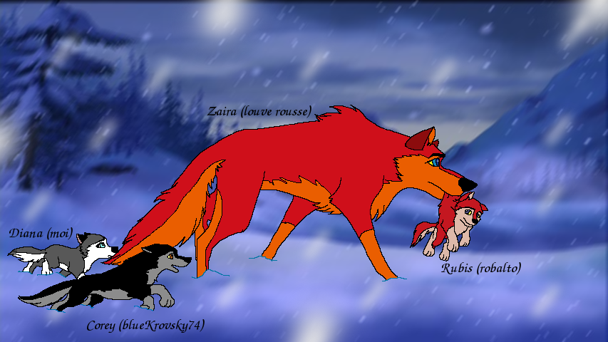 Balade en famille (ou plutôt en moitié de famille)